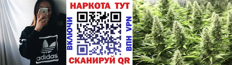 Сколько стоит Павловск КОКАИН  блэк спрут зеркало  Амфетамин  КЕТАМИН  Гашиш  Меф  Alpha PVP 