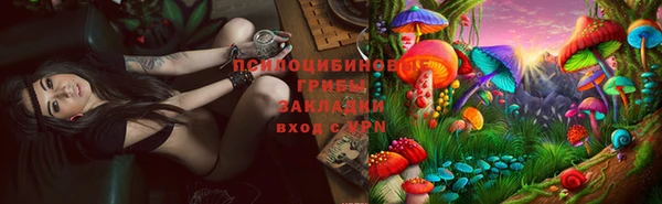 твердый Тында